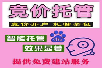 探索SEM托管公司经典案例：助力企业快速成长